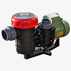 sirin-1-hp-on-filtreli-havuz-pompa-2